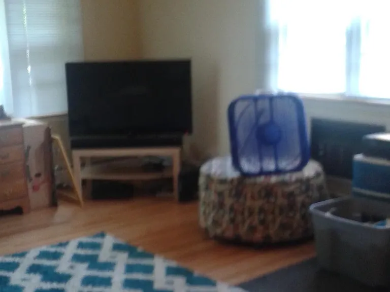 237 W Slade St #1 — Photo 5