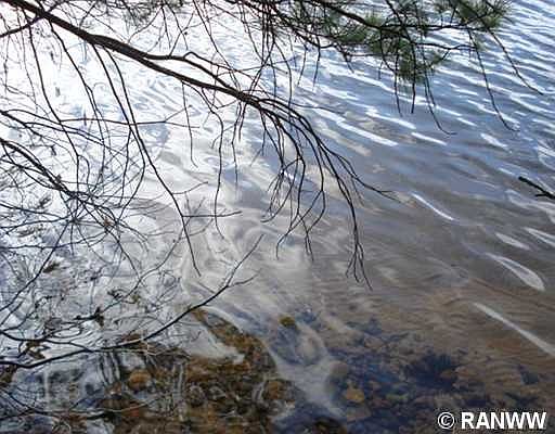 2nd image of 0 N Moes Bay Lane