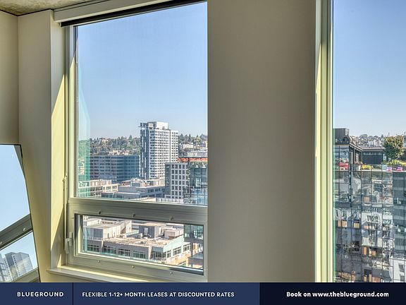 Window View