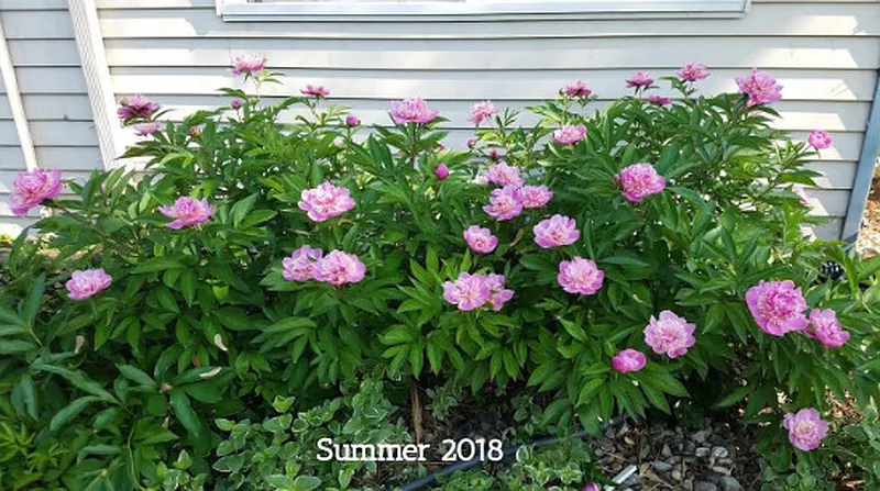 Thumbnail 16