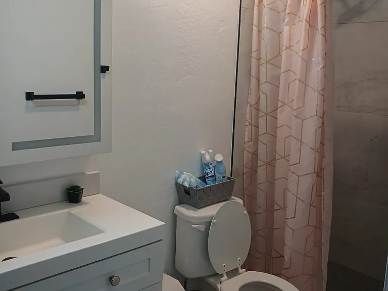 Primary bathroom/ shower.