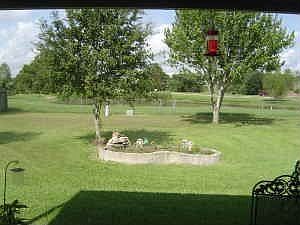 Backyard from the covered porch