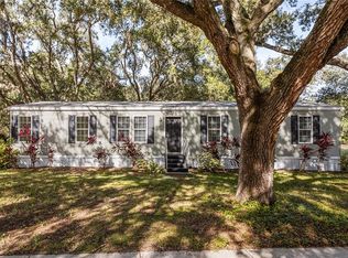 14233 Tassleflower Ct, Astatula, FL 34705