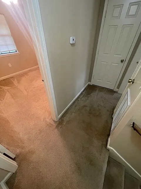2 bed, 1.5 bath, 1100 sqft, $1,100 — Photo 4