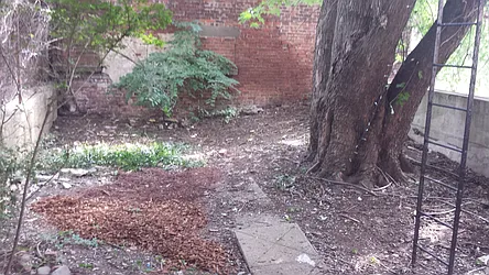 Rented by Urban Realty NYC