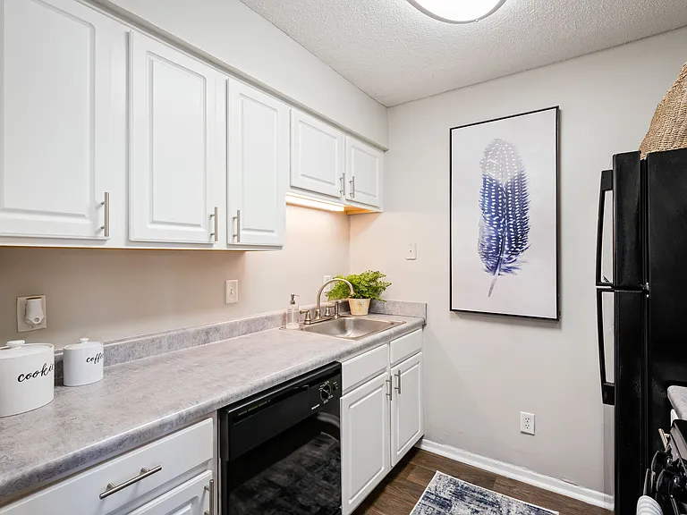 Bay Terrace — Photo 11