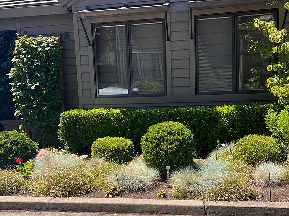 Front area