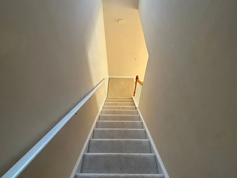 202 Branchester Ct — Photo 10