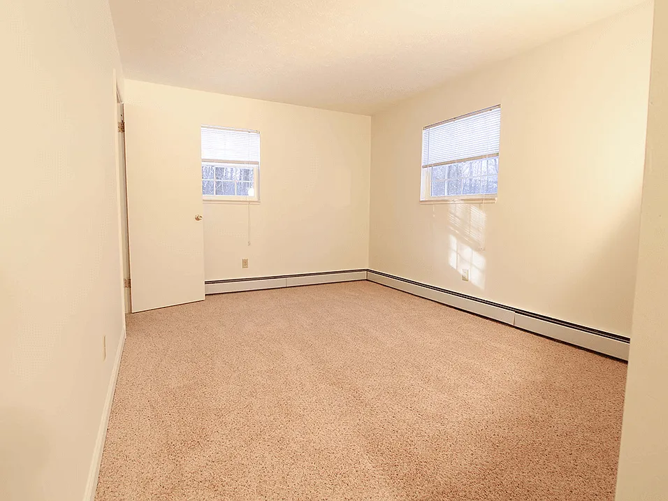 Cozy, Plush Carpeting