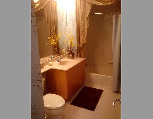 4th image of 520 N Kingsbury St Unit 4602