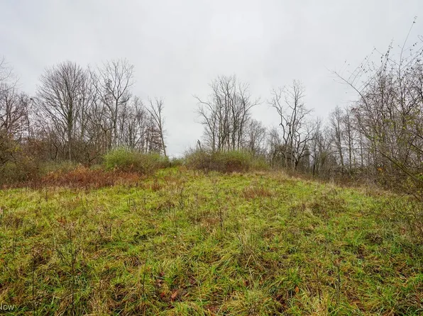 E Hoop Pole Ridge Rd NE, McConnelsville, OH 43756