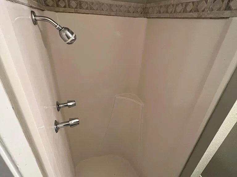 Master shower