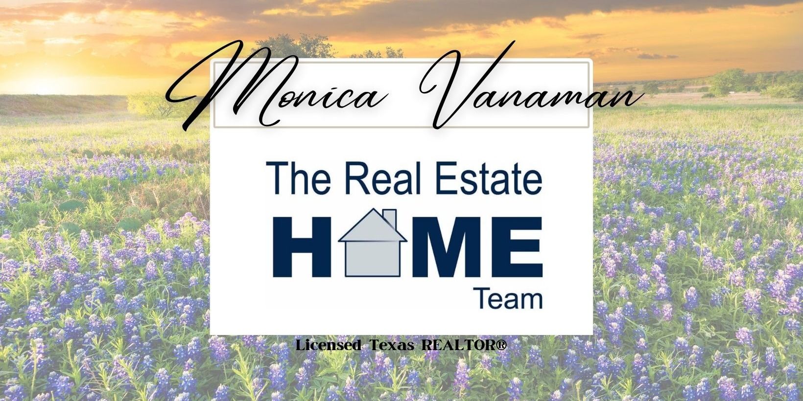 The Real Estate Home Team