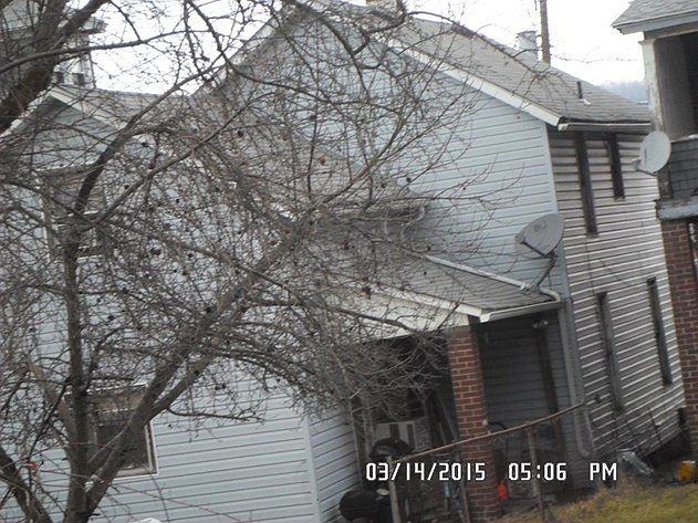 2nd image of 1213 Center Ave