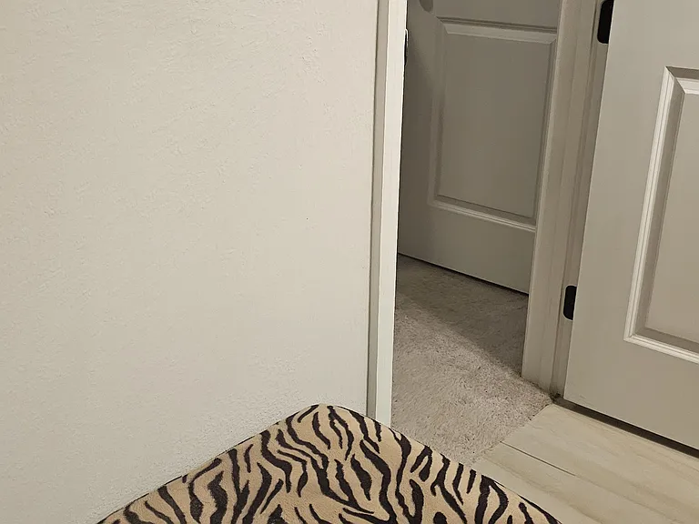 244 Lake Smart Cir — Photo 13