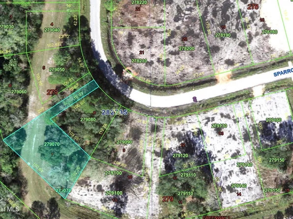 00-00 Sparrow Ct, Kissimmee, FL 34759