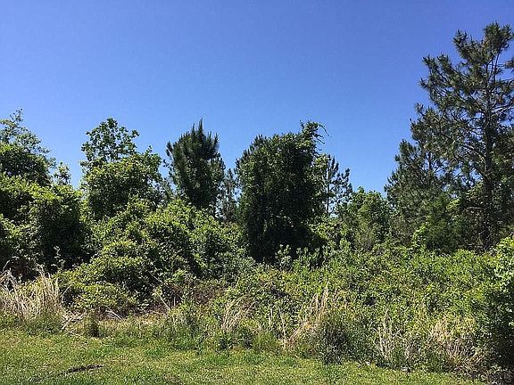 2nd image of 111 Bud Hollow Dr