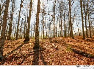16 Cairens Ridge Dr #16, Mills River, NC 28759