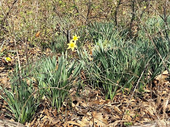 5th image of 7550 E 50th Rd