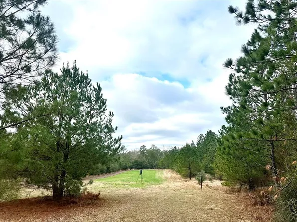 4699 Lambert Cemetery Rd, Citronelle, AL 36522