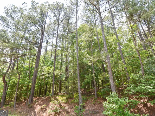 0 Skelton Rd Lot 4, Thomaston, GA 30286
