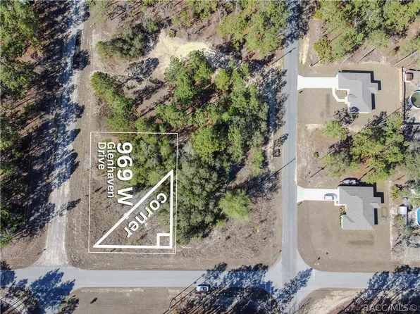 969 W Glenhaven Dr, Citrus Springs, FL 34434