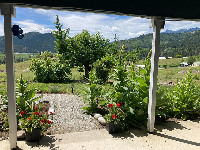 View of Blewett Pass from patio