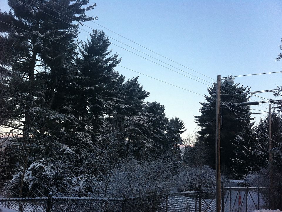 1st image of 429 Naomi Ct