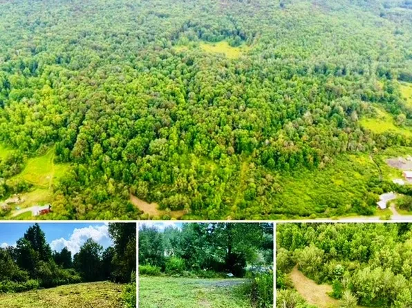 State Highway 23 #1, Harpersfield, NY 13786