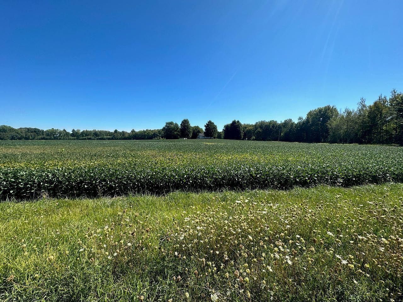 County Road Y, Clintonville, WI 54929 Zillow