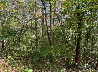 Reserve Lot Northpoint Way, Davis, WV 26260