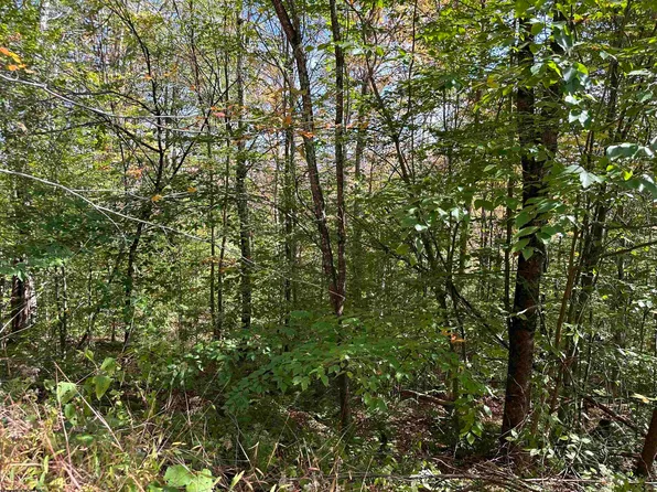 Reserve Lot Northpoint Way, Davis, WV 26260