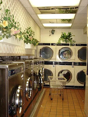 Rented by Prime Realty | media 5