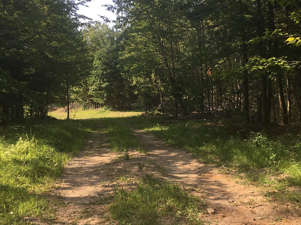 entering clearing