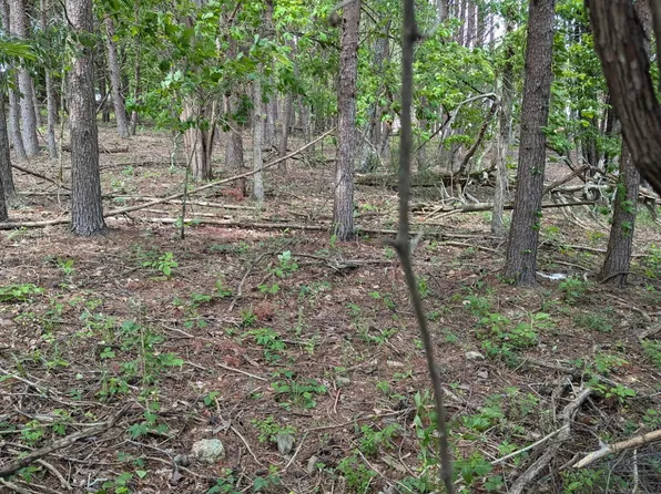 LOT 8 Foster Rd, Blaine, TN 37709