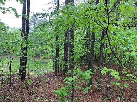 5th image of 740 Fox Hollow Rd