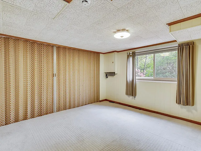 lower level room/bedroom 4
