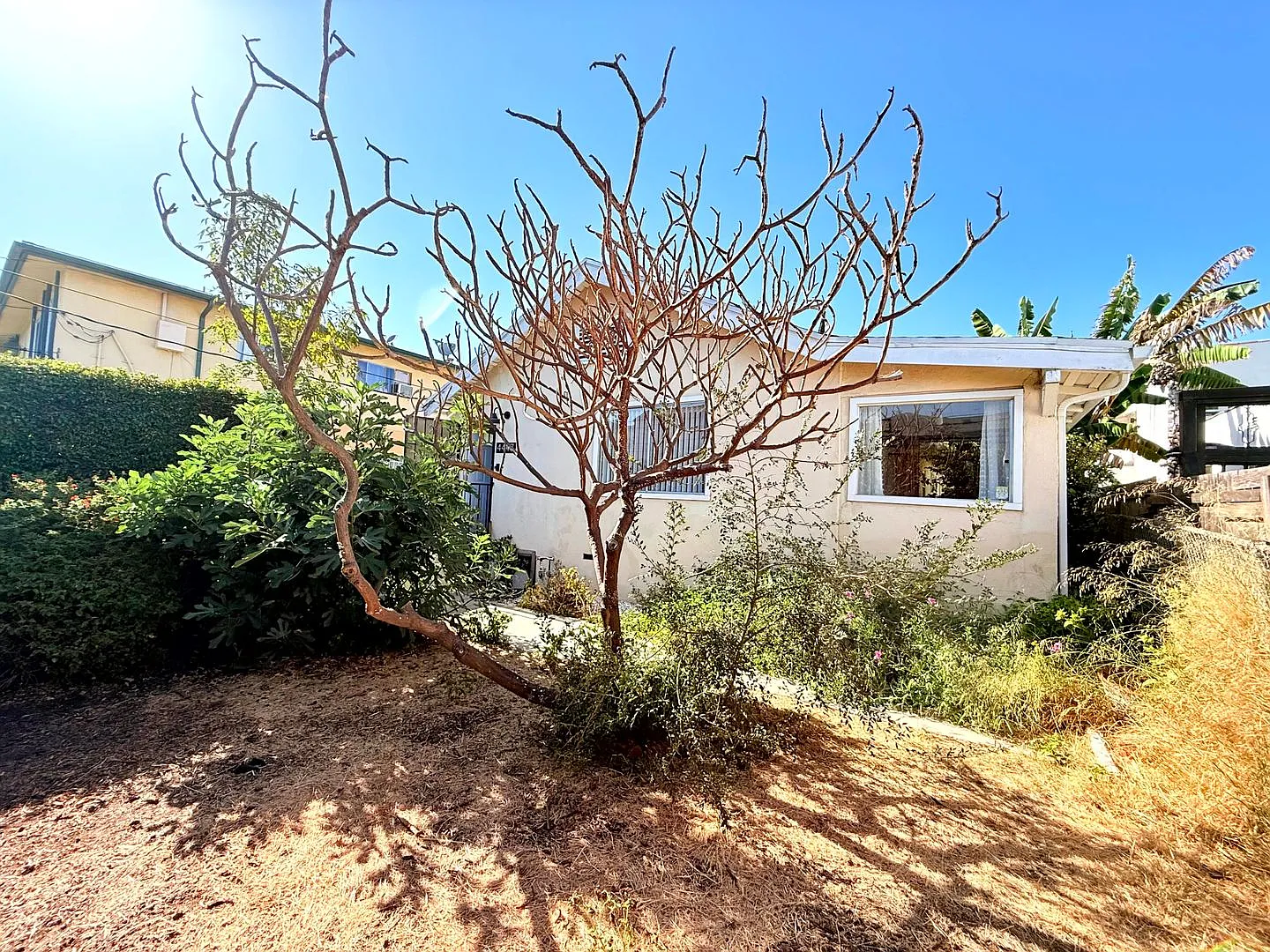 Fantastic 3 bed 1 bath Home with Spacious Outdoor Spaces in Virgil Village — Photo 1