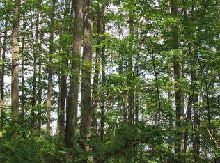 21 Eagle Ave, Roscommon, MI 48653