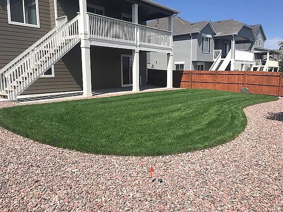 The lush back yard!