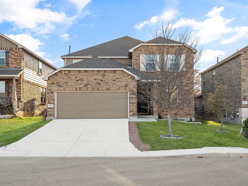 1st image of 1605 Crown Daisy