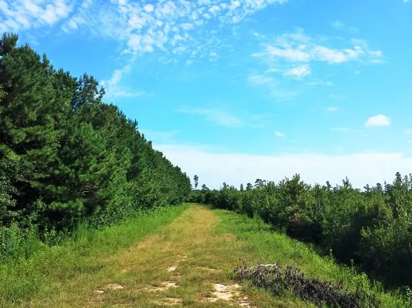 2641 Willard Rd, Willard, NC 28478