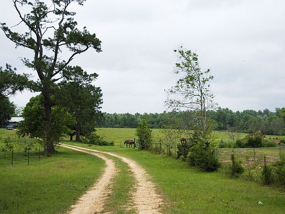 Long private lane from road to house ensures quiet country atmosphere.