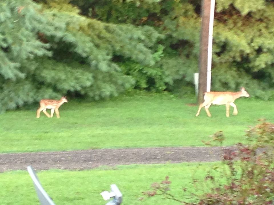 15 to Short Pump - Really!