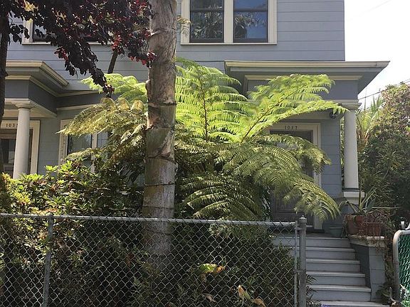 Front entry garden - shared patio in back