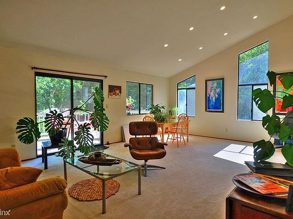 Lots of Natural Light