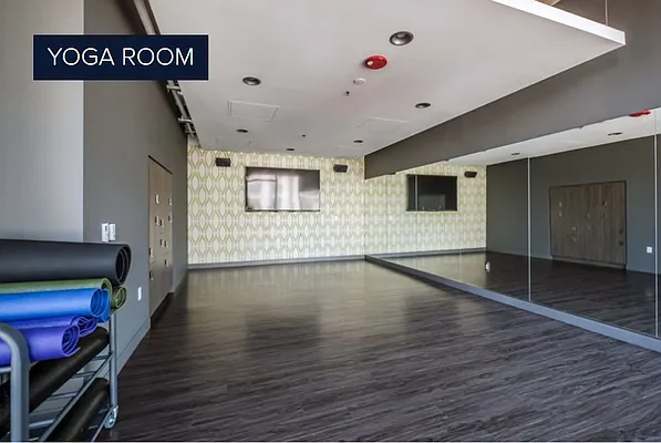 Rented by HCO NY | media 64