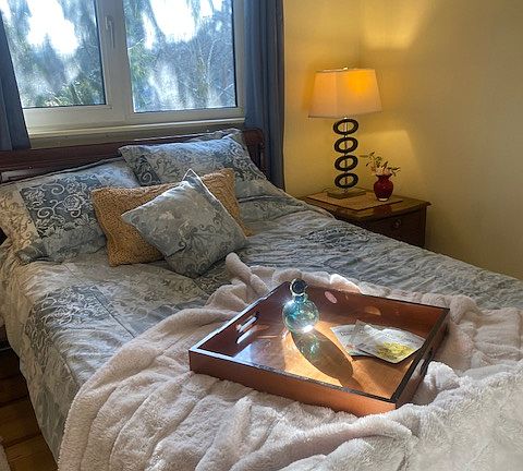Comfortable 2nd Bedroom with Mahogany Full Bed and Matching Nightstands with 3 panel closet
