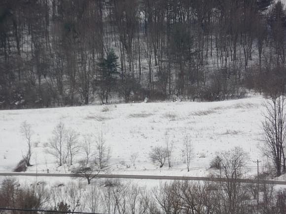2nd image of 65 State Highway 235