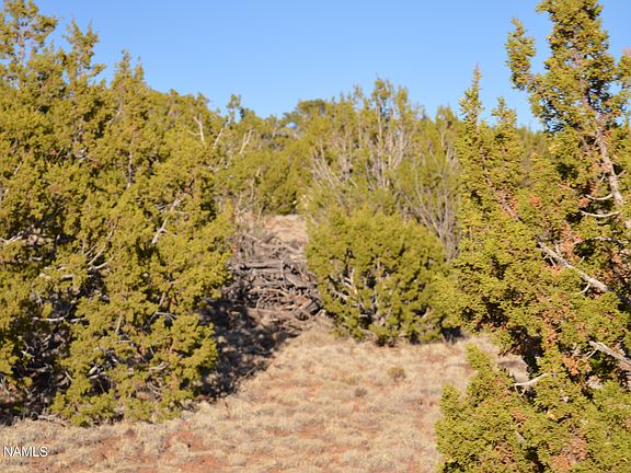 2nd image of 444 Mountain Cat Rd
